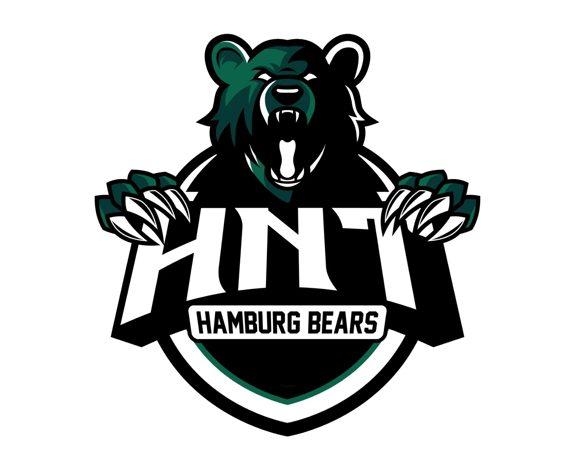 Hamburg Bears Cheerleader