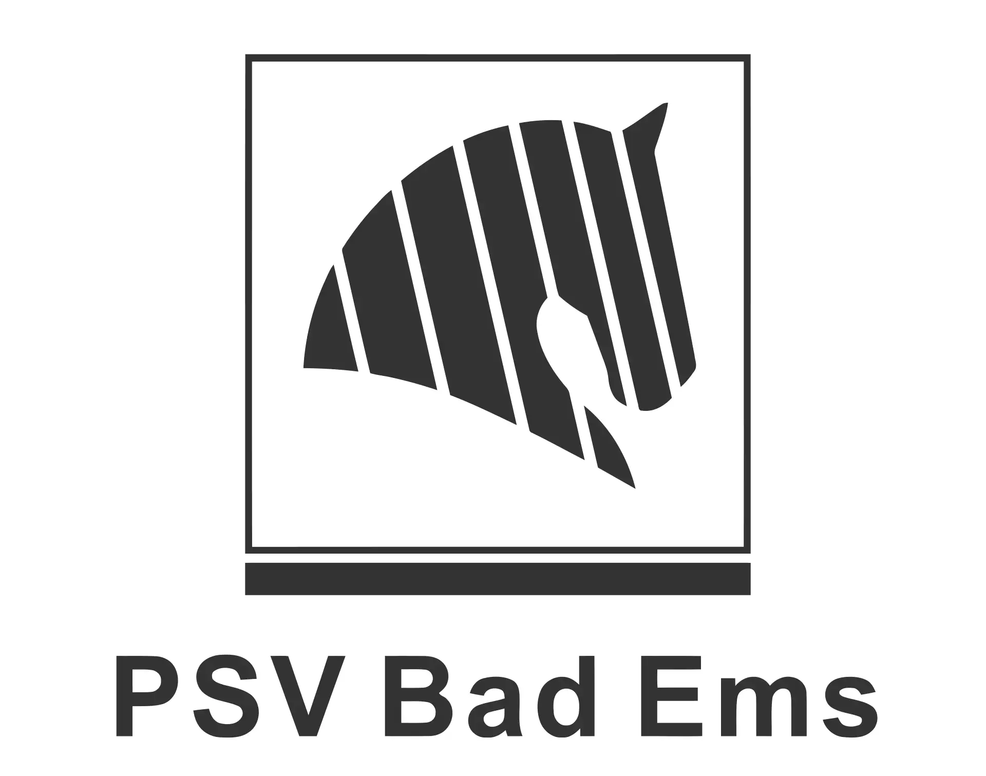 PSV Bad Ems