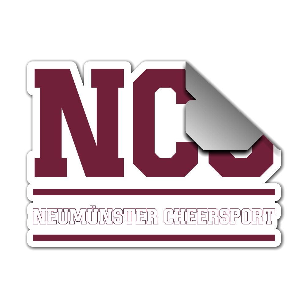 NCS Logo Sticker 10CM (5x)