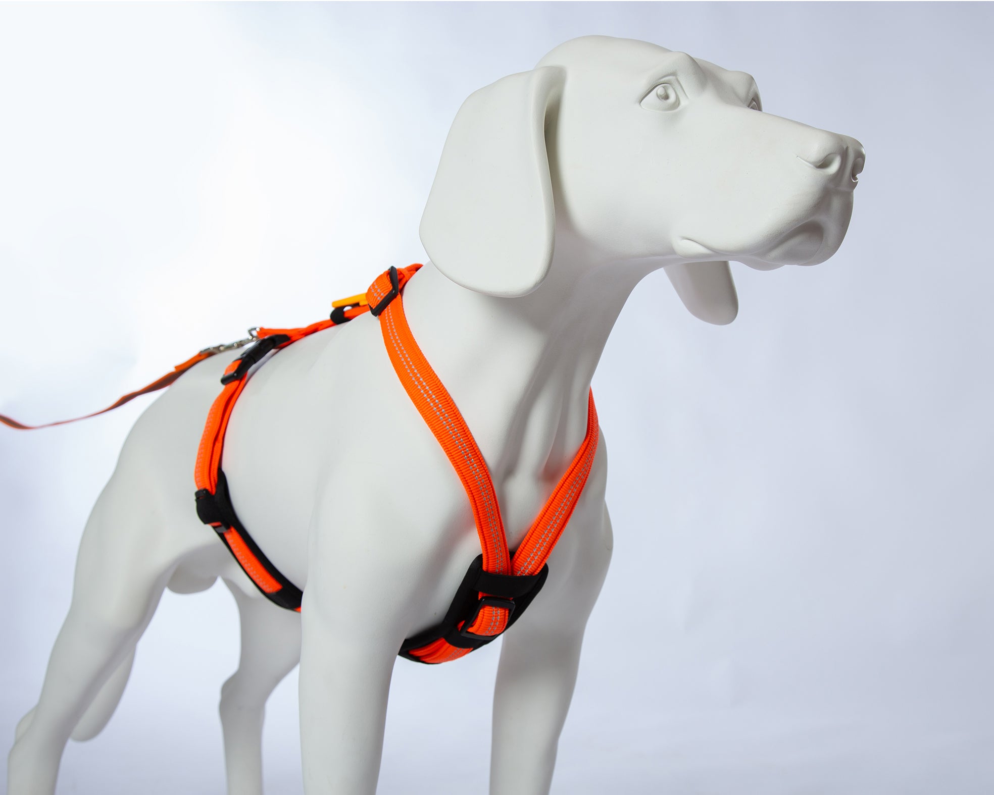 Feltmann Hundegeschirr Mantrailing - Suchgeschirr Profi