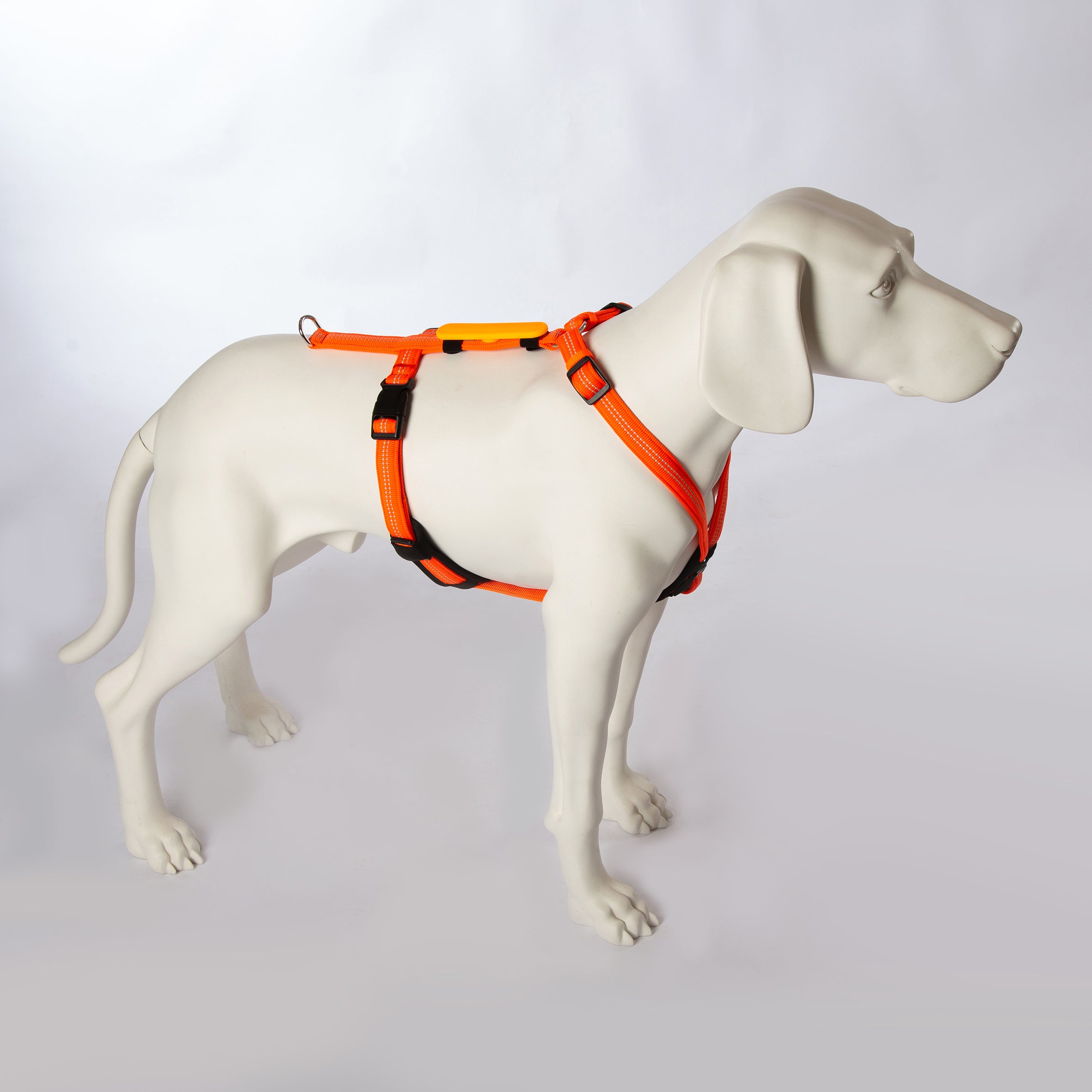 Feltmann Hundegeschirr Mantrailing - Suchgeschirr Profi