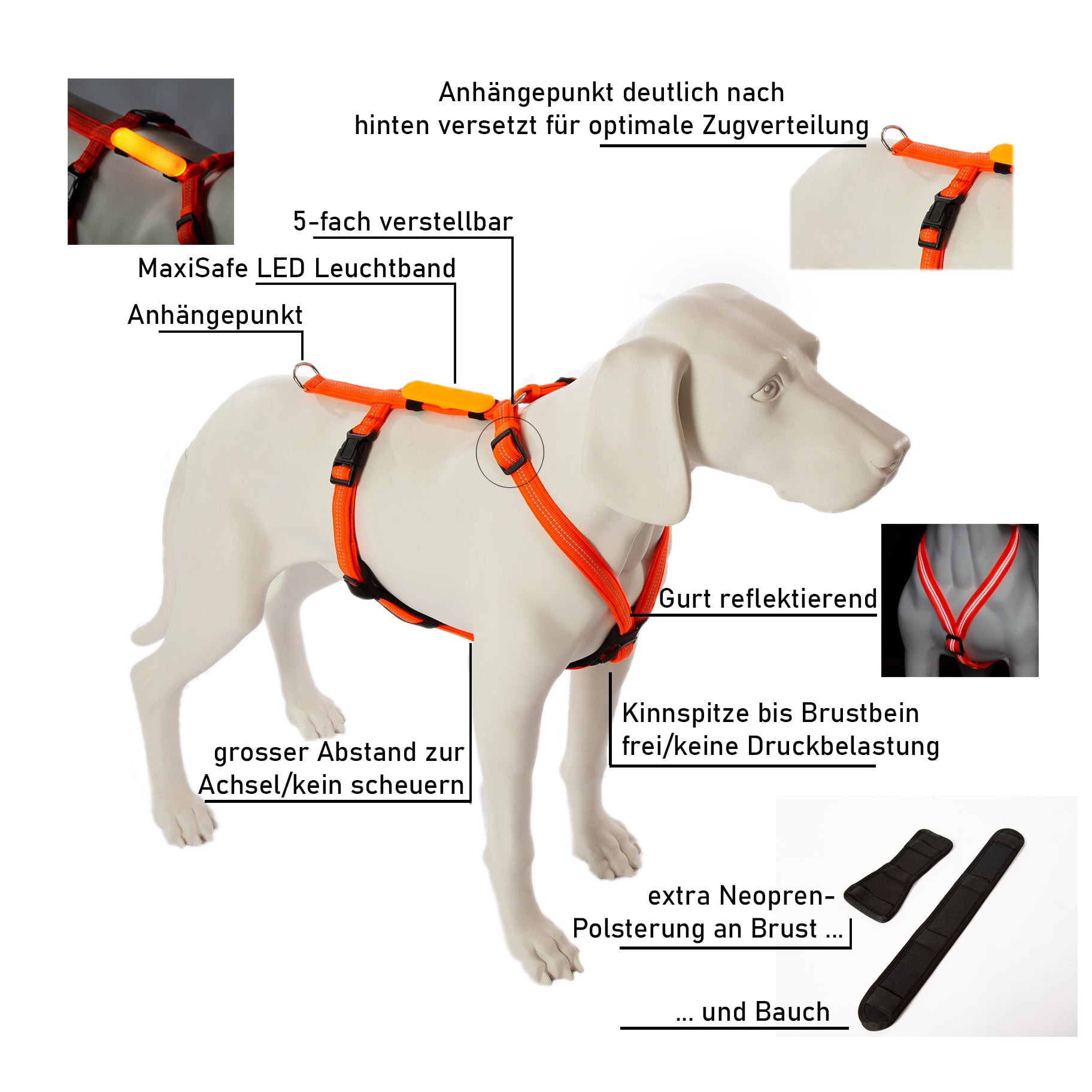 Feltmann Hundegeschirr Mantrailing - Suchgeschirr Profi