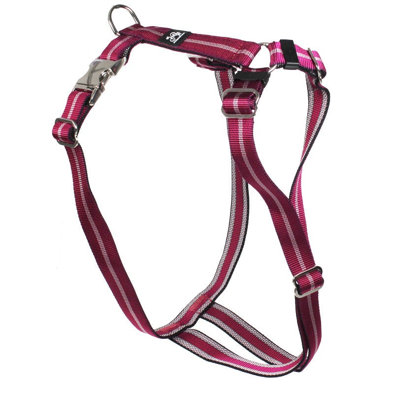 Feltmann Hundegeschirr Premium Streifen