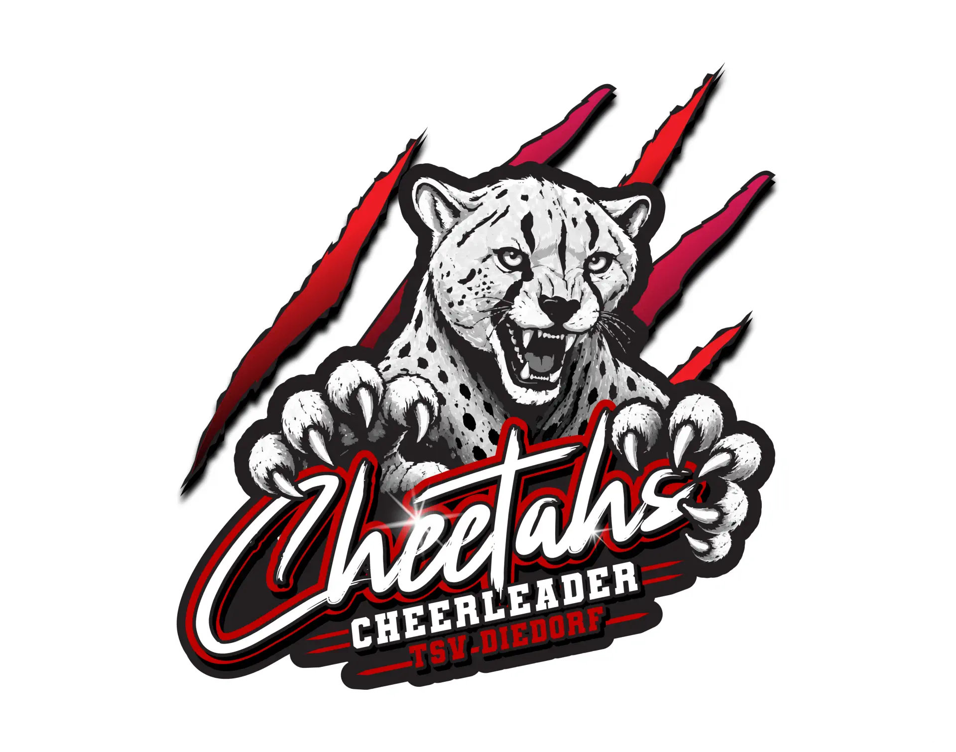 Cheetahs Cheerleader