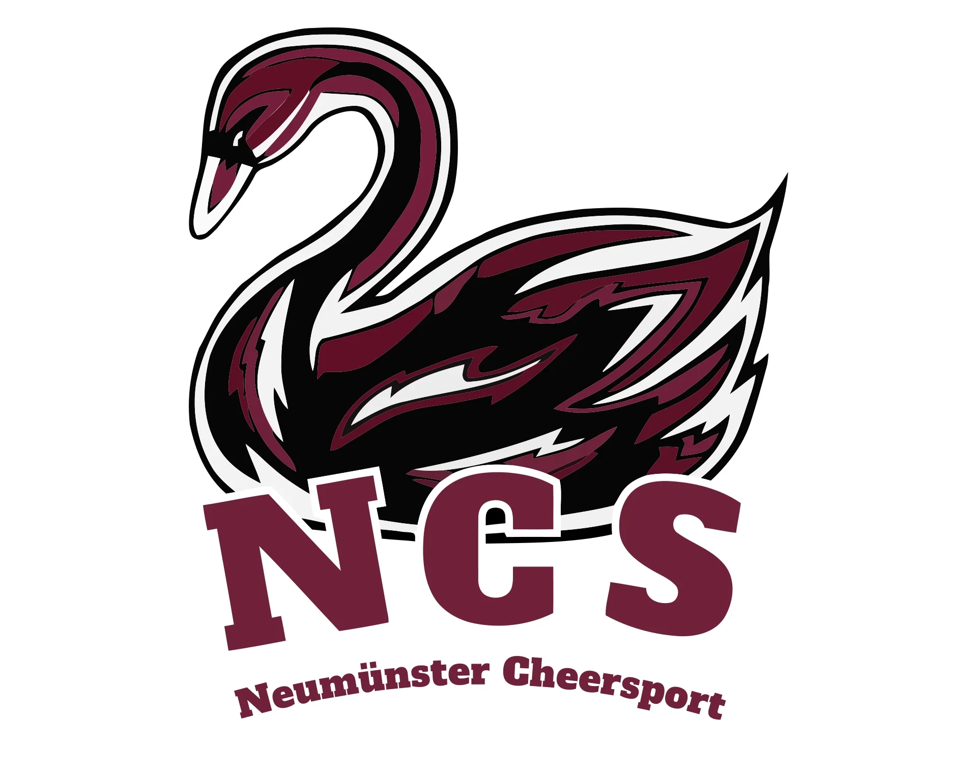 Neumünster Cheersport