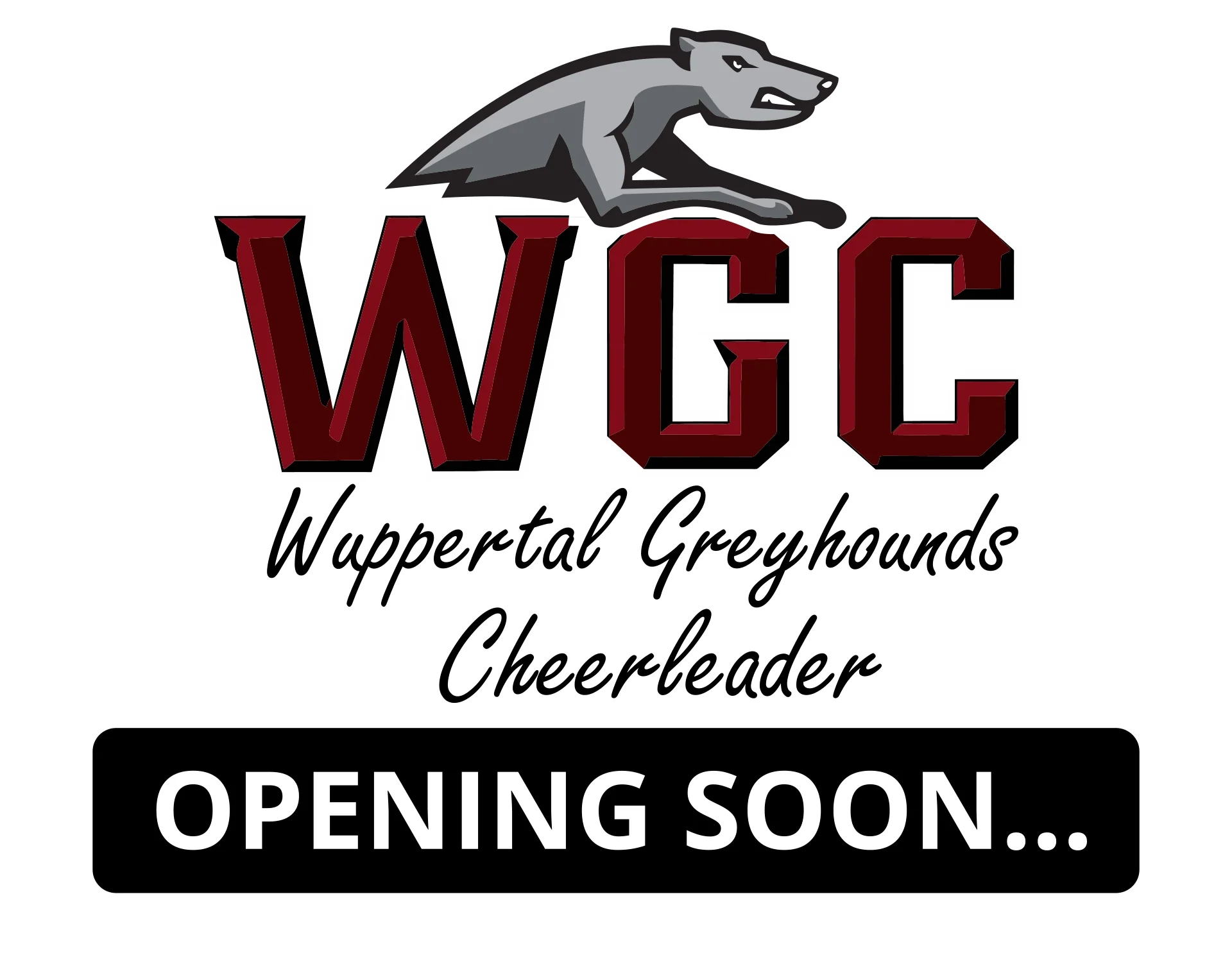 Wuppertal Greyhounds Cheerleader