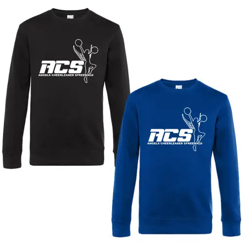 ACS13.webp