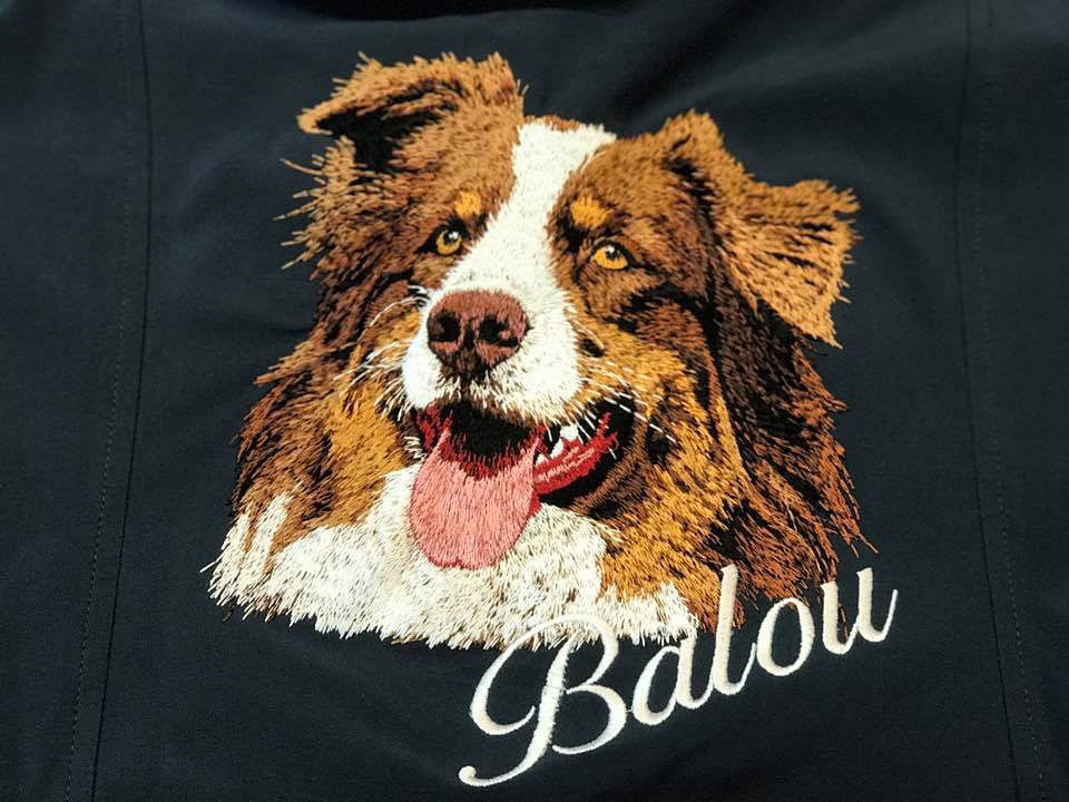 Ein Hund gestickt vom Foto inkl. Stickkarte