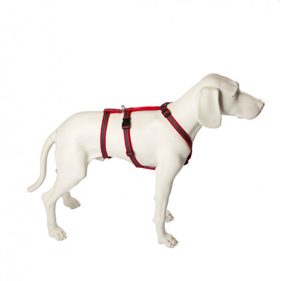 Feltmann Hundegeschirr NoExit® - Soft Grip- ausbruchsicheres Hundegeschirr