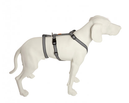 Feltmann Hundegeschirr NoExit® - Super Soft- ausbruchsicheres Hundegeschirr