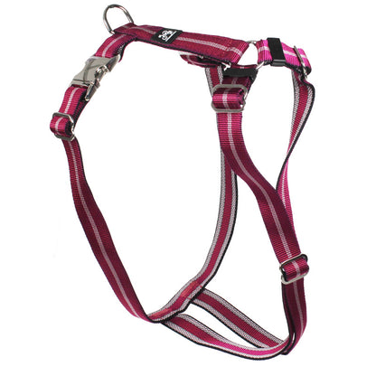 Feltmann Hundegeschirr Premium Streifen