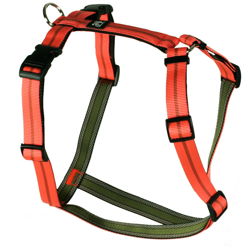 Feltmann Hundegeschirr Standard Streifen