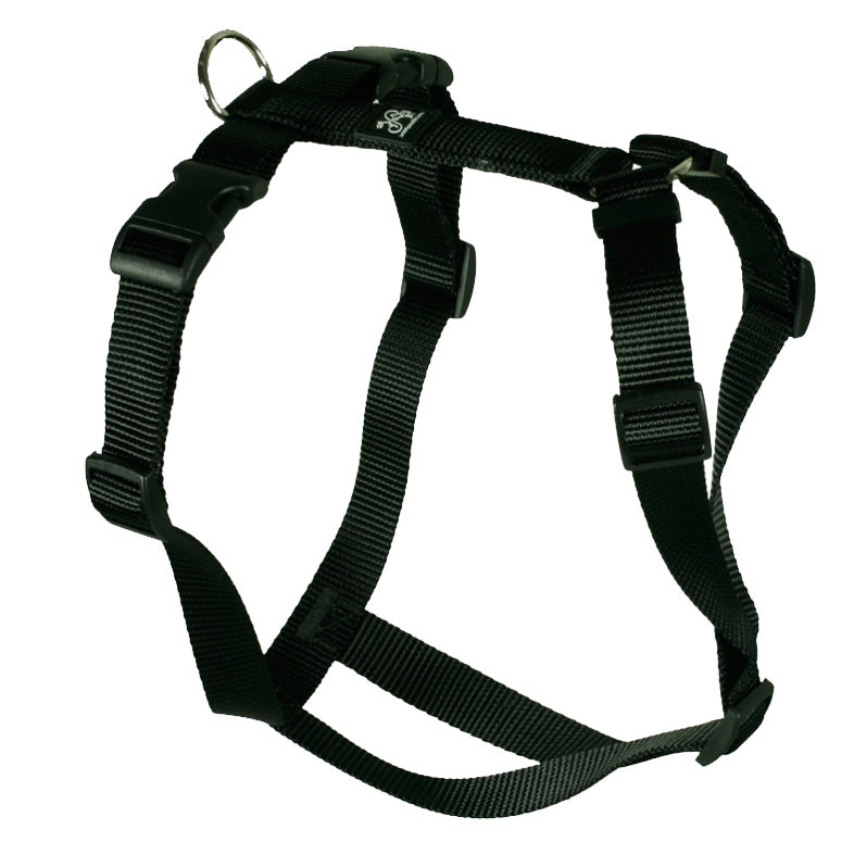 Hundegeschirr Feltmann XXL schwarz