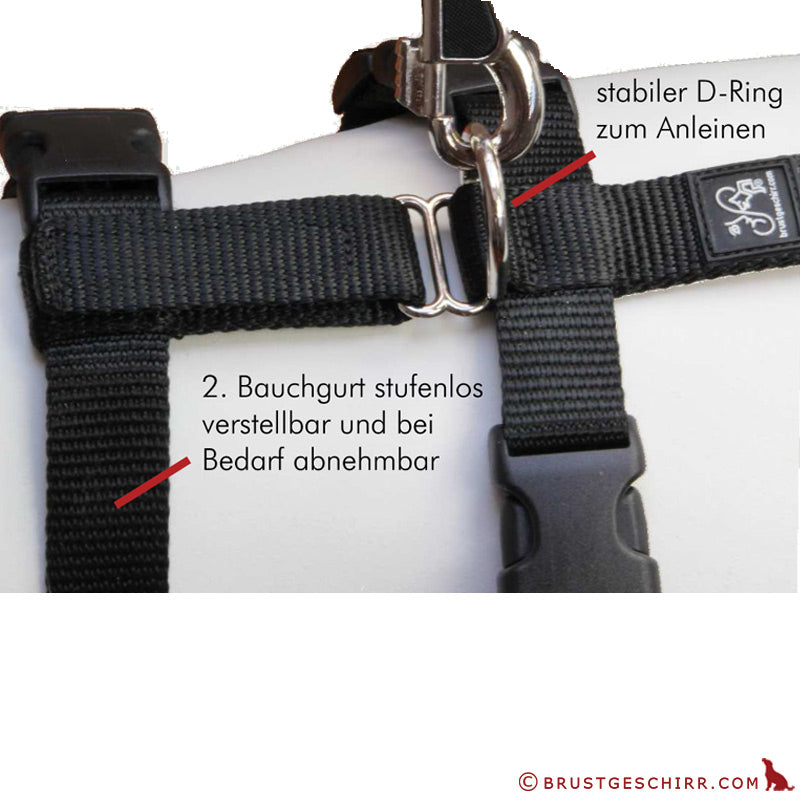 Feltmann Hundegeschirr NoExit® - Streifen - ausbruchsicheres Hundegeschirr