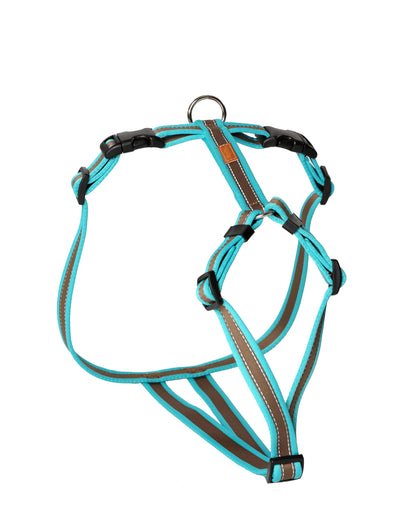Feltmann Hundegeschirr Standard Super Grip